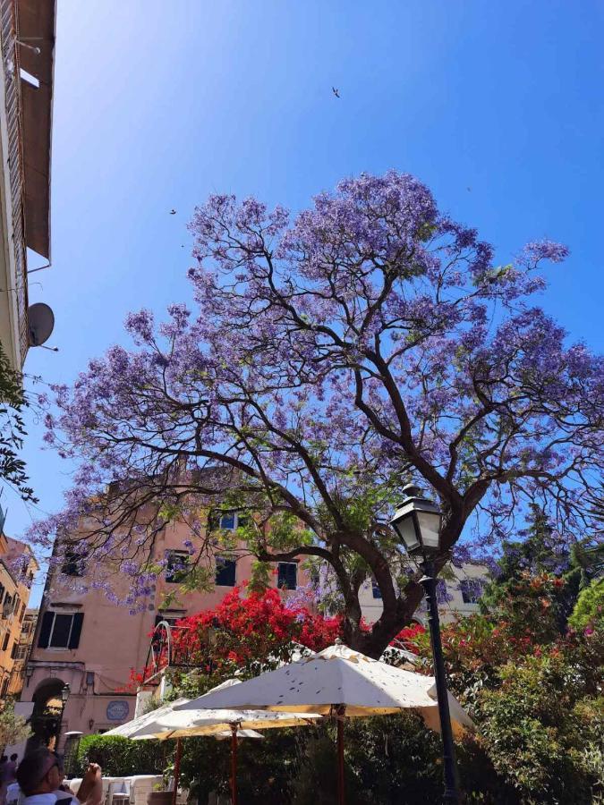 Jacaranda Corfu Old Town Apt Exterior foto